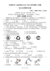 江苏省无锡市天一实验学校2024-2025学年九年级上学期11月期中考试化学试卷