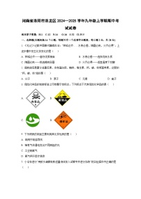 河南省洛阳市洛龙区2024--2025学年九年级上学期期中考试化学试卷（学生版）