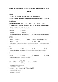 河南省新乡市封丘县2024-2025学年九年级上学期11月期中化学试卷（学生版）