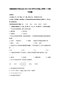 河南省新乡市封丘县2024-2025学年九年级上学期11月期中化学试卷(学生版)