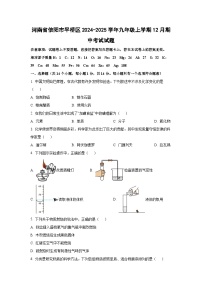 河南省信阳市平桥区2024-2025学年九年级上学期12月期中考试化学试卷(学生版)