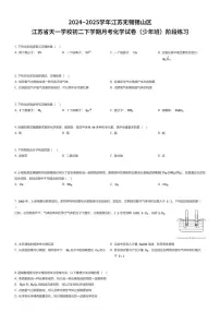 2024~2025学年江苏无锡锡山区江苏省天一学校初二下学期月考化学试卷（少年班）阶段练习（有答案解析）
