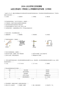 2024~2025学年江苏无锡锡山区江苏省天一学校初二上学期期中化学试卷（少年班）（有答案解析）