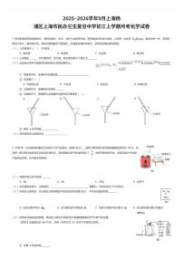 2025~2026学年9月上海杨浦区上海市民办兰生复旦中学初三上学期月考化学试卷（有答案解析）