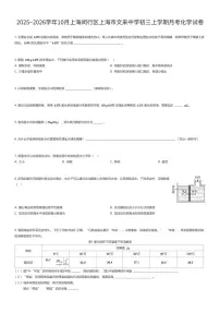 2025~2026学年10月上海闵行区上海市文来中学初三上学期月考化学试卷（有答案解析）