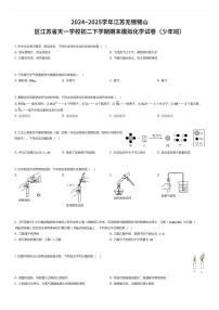 2024~2025学年江苏无锡锡山区江苏省天一学校初二下学期期末模拟化学试卷(少年班)(有答案解析)