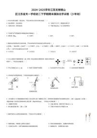 2024~2025学年江苏无锡锡山区江苏省天一学校初二下学期期末模拟化学试卷（少年班）（有答案解析）
