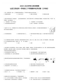 2024~2025学年江苏无锡锡山区江苏省天一学校初二下学期期中化学试卷(少年班)(有答案解析)