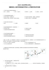 2025~2026学年10月上海静安区上海市市西初级中学初三上学期月考化学试卷（有答案解析）