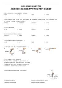 2025~2026学年9月江苏苏州吴中区苏州工业园区星湾学校初三上学期月考化学试卷（有答案解析）