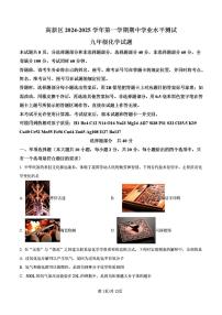 2024-2025年济南市高新区九年级化学上学期期中考试试卷及其答案