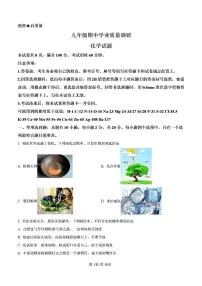 2024-2025年济南市市中区九年级化学上学期期中考试试卷及其答案