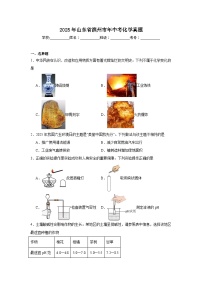 2025年山东省滨州市年中考化学真题（附答案解析）