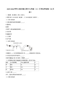 2025-2026学年上海市理大附中九年级（上）月考化学试卷（10月份）-自定义类型