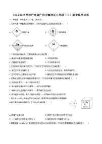 2024-2025学年广东省广州市南沙区九年级（上）期末化学试卷-自定义类型