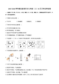 湖北省黄石市2025-2026学年九年级（上）10月月考化学试卷（含答案）