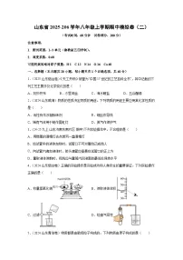 山东省2025~206学年八年级（上）期中模拟卷（二）化学试题（学生版）