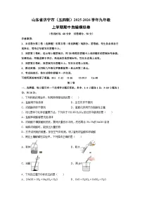 2025~2026学年山东省济宁市（五四制）九年级（上）期中自编模拟卷化学试题（学生版）