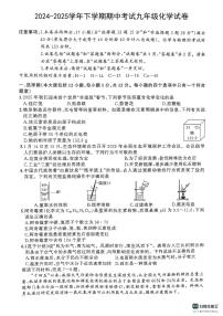 安徽省淮南市凤台县2024-2025学年九年级下学期4月期中考试化学试题