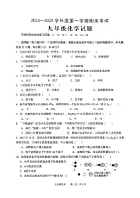 安徽省池州市青阳县2024-2025学年九年级上学期期末考试化学试题