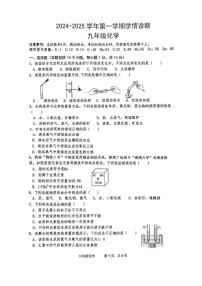 河南省安阳市第八中学2024-2025学年九年级上学期期中考试化学试卷