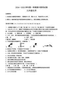 河南省安阳市第十中学2024-2025学年九年级上学期期中考试化学试卷
