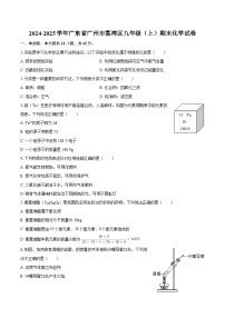 2024-2025学年广东省广州市荔湾区九年级（上）期末化学试卷-自定义类型