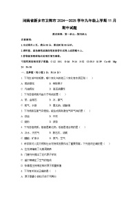 2024~~2025学年河南省新乡市卫辉市九年级（上）11月期中化学试题（学生版）