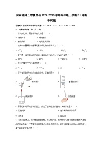 2024~2025学年河南省商丘市夏邑县九年级（上）11月期中化学试题（学生版）