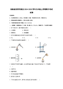 2024~2025学年河南省洛阳市嵩县九年级（上）期中考试化学试题（学生版）