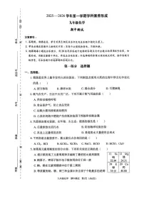 广东省深圳市龙华区行知学校2025-2026学年九年级上学期11月期中考试化学试题