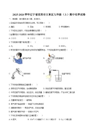 2025-2026学年辽宁省沈阳市大东区九年级（上）期中化学试卷-自定义类型
