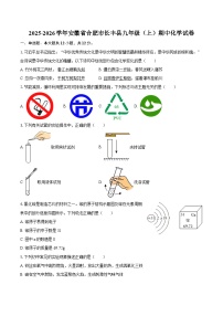 2025-2026学年安徽省合肥市长丰县九年级（上）期中化学试卷-自定义类型