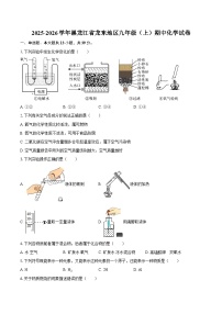 2025-2026学年黑龙江省龙东地区九年级（上）期中化学试卷-自定义类型