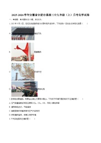 2025-2026学年安徽省合肥市巢湖三中九年级（上）月考化学试卷-自定义类型