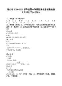 安徽省安庆市潜山市2024-2025学年九年级上学期1月期末考试化学试题答案