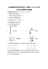 2024~2025学年山东省威海市经济技术开发区（五四制）九年级（上）期中考试化学试题（学生版）