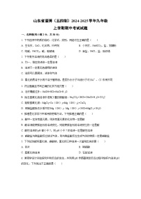 2024~2025学年山东省淄博（五四制）九年级（上）期中考试化学试题（学生版）