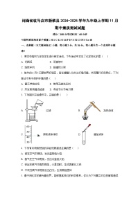 2024~2025学年河南省驻马店市新蔡县九年级（上）11月期中素质测试化学试题（学生版）