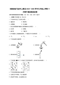 2024~~2025学年河南省驻马店市上蔡县九年级（上）11月期中素质测试化学试题（学生版）