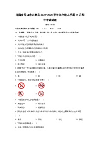 2024~2025学年河南省周口市太康县九年级（上）11月期中考试化学试题（学生版）