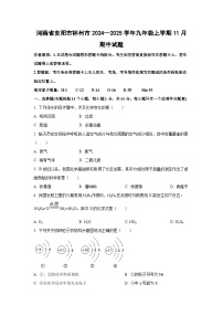 2024~~2025学年河南省安阳市林州市九年级（上）11月期中化学试题（学生版）