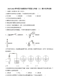 2025-2026学年四川省绵阳市平武县九年级（上）期中化学试卷-自定义类型