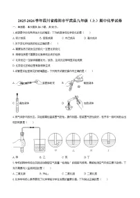 2025-2026学年四川省绵阳市平武县九年级（上）期中化学试卷-自定义类型