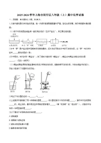 2025-2026学年上海市闵行区八年级（上）期中化学试卷-自定义类型