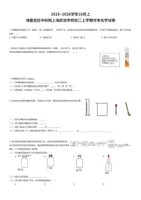 2025~2026学年10月上海嘉定区中科院上海实验学校初二上学期月考化学试卷（有答案解析）