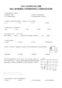 2025~2026学年10月上海普陀区上海市曹杨第二中学附属学校初三上学期月考化学试卷（有答案解析）