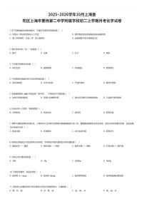 2025~2026学年10月上海普陀区上海市曹杨第二中学附属学校初二上学期月考化学试卷（有答案解析）