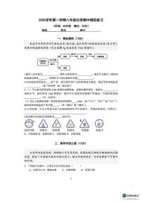 上海市宝山区2025-2026学年八年级上学期期中考试化学试卷