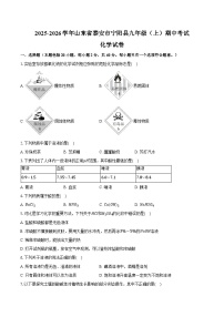 2025-2026学年山东省泰安市宁阳县九年级（上）期中化学试卷（含答案）